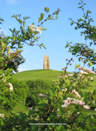 The Tower on the Tor through Hawthorne blossoms - Early Summer